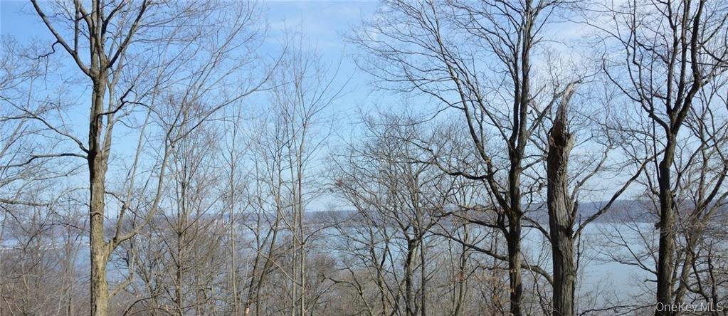 242 Tweed Boulevard Property Photo 2