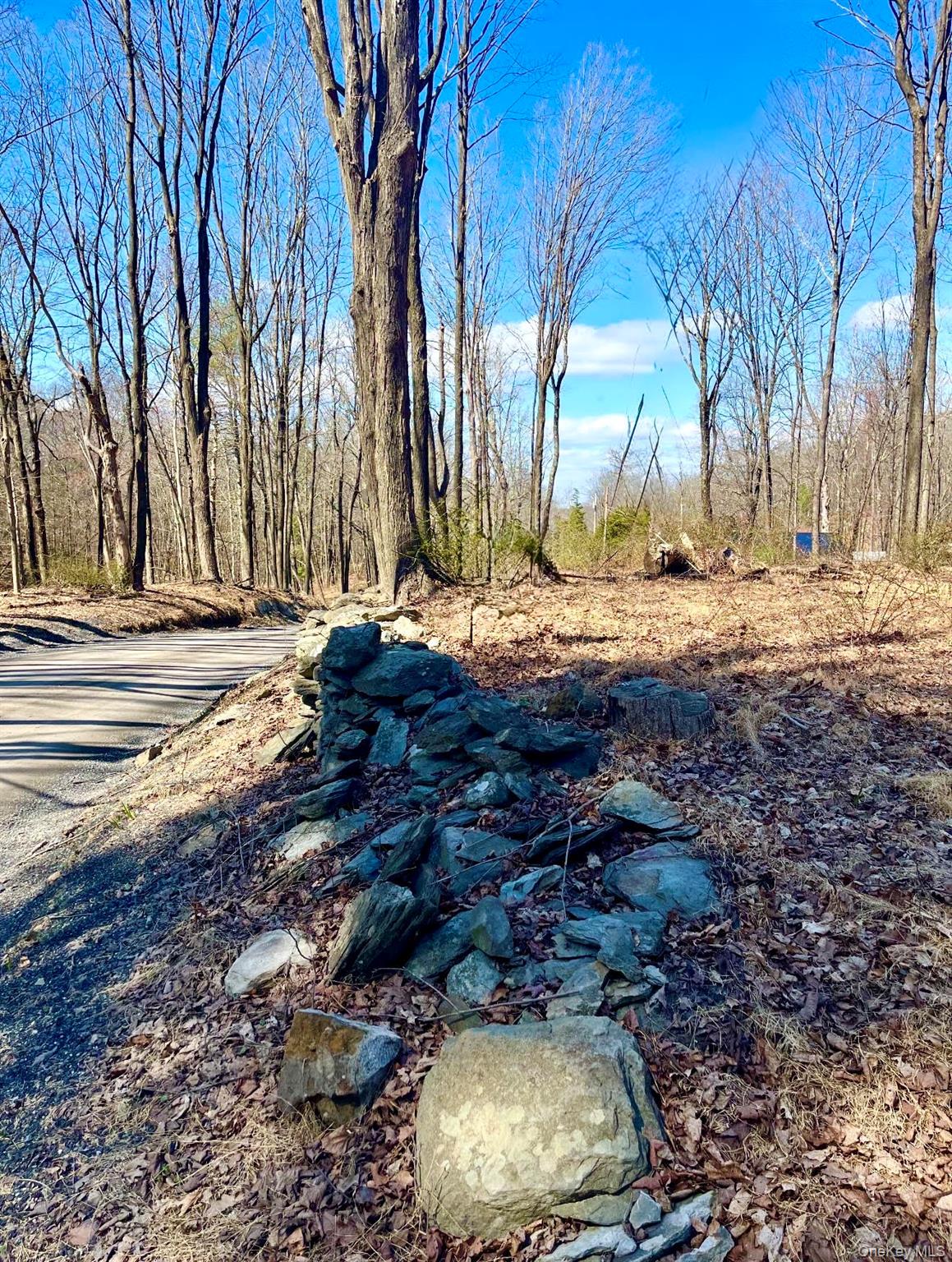 418 Browns Pond Road Property Photo 1