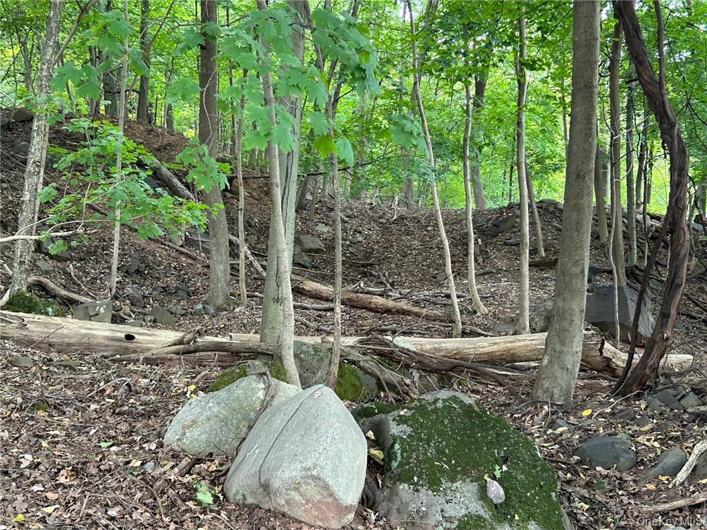 63 Westside Avenue Property Photo 8