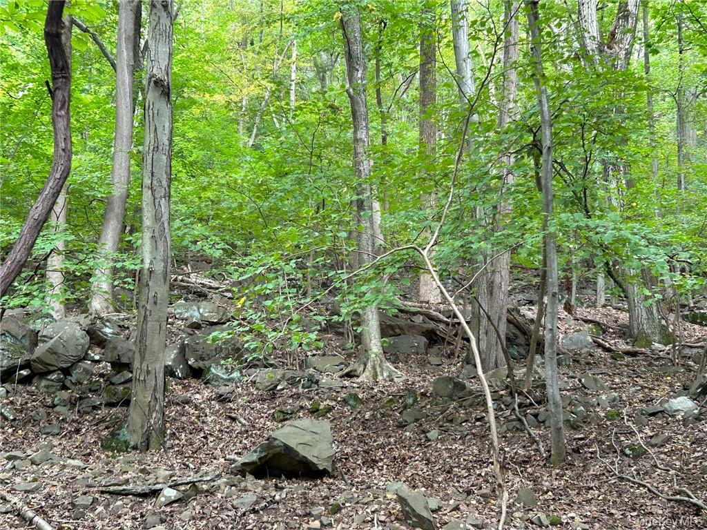 63 Westside Avenue Property Photo 9