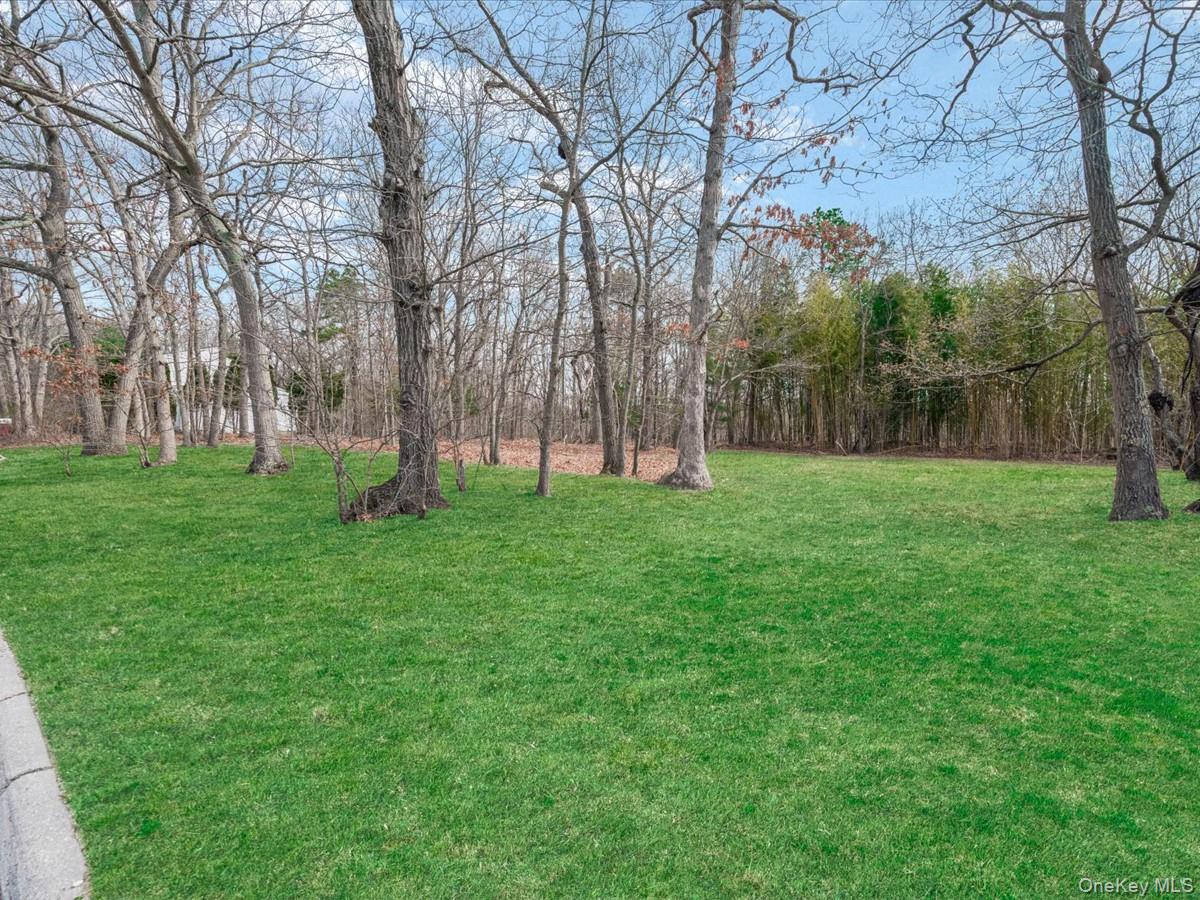 21 Linden Avenue Property Photo 24