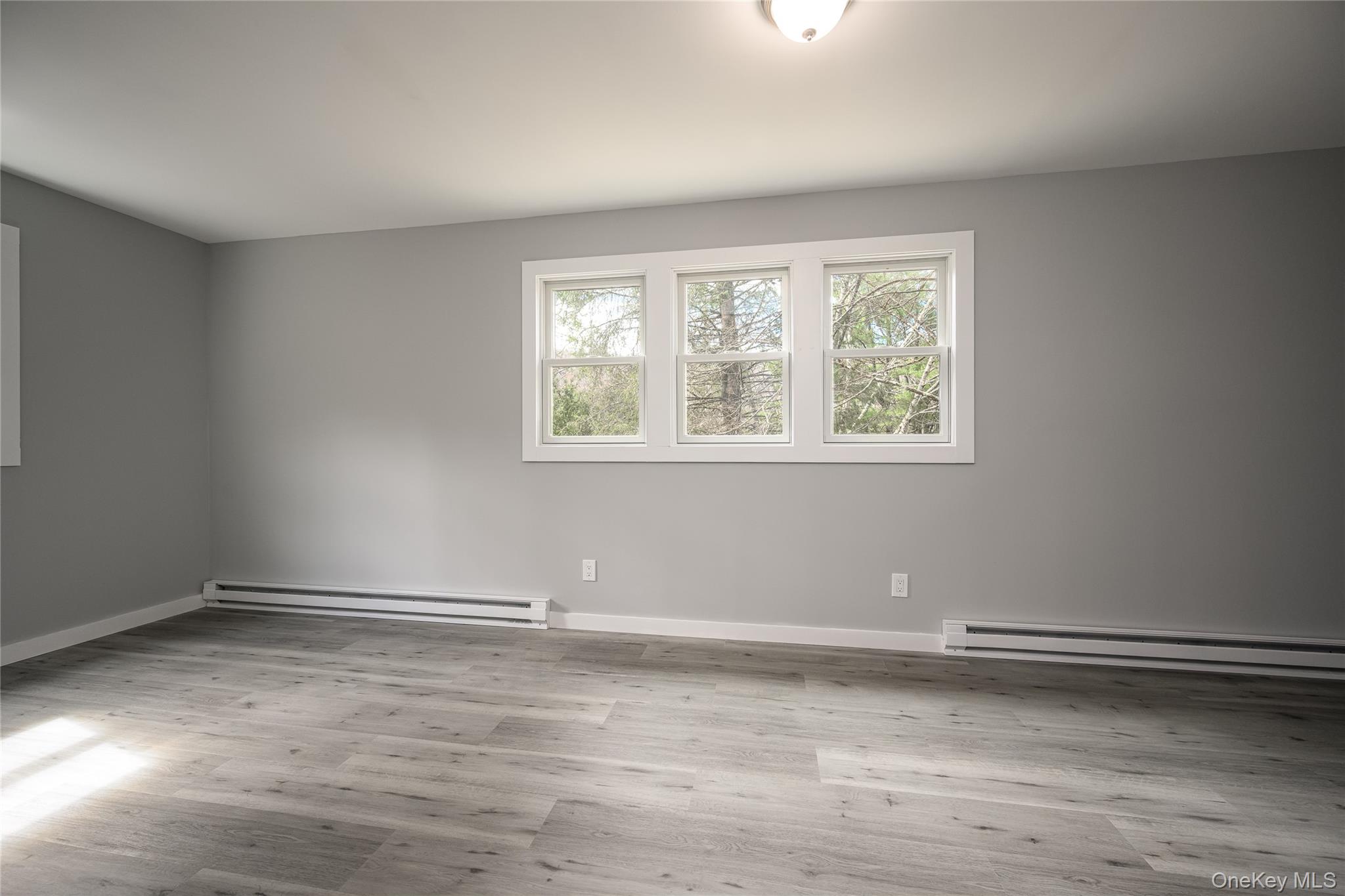 4523 Route 199 Property Photo 22