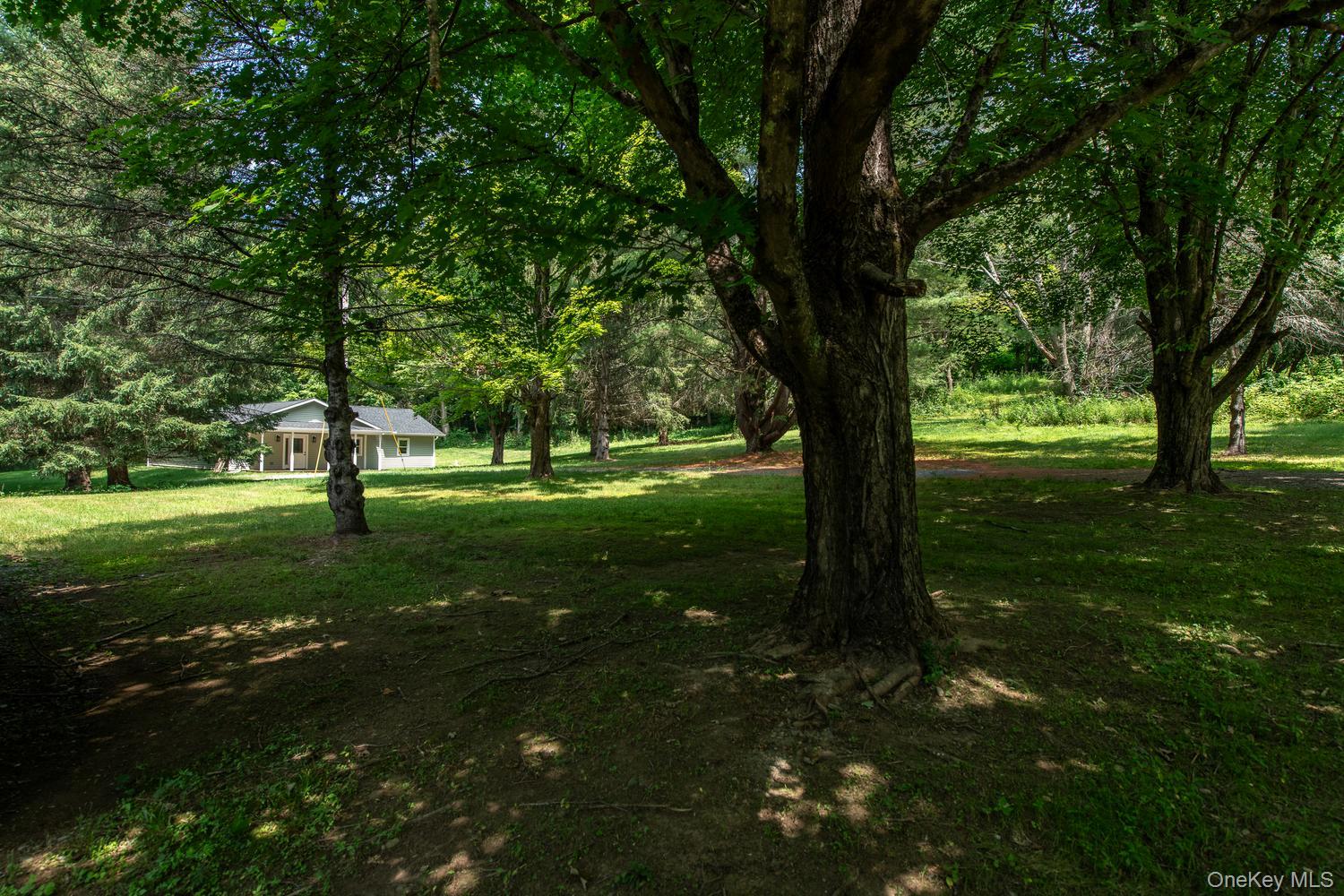 4523 Route 199 Property Photo 24