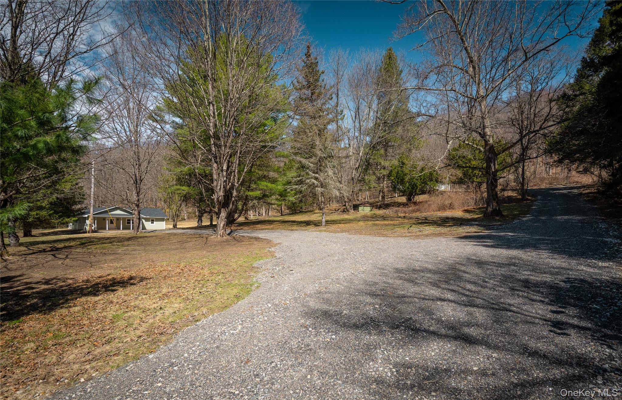 4523 Route 199 Property Photo 6