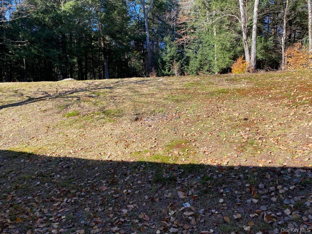 141 Gale Road Property Photo 19