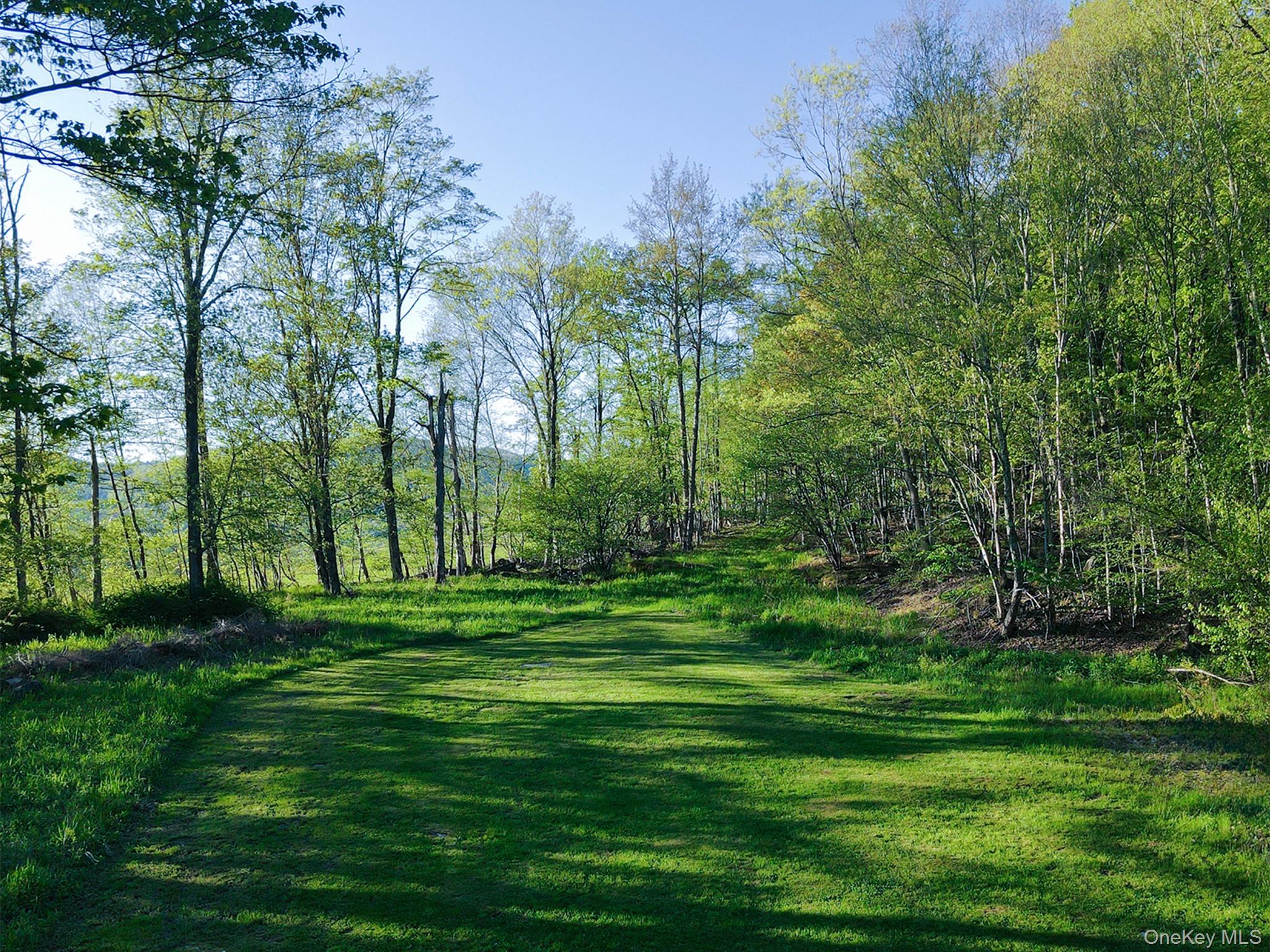 2220 Old Route 17 Property Photo 9