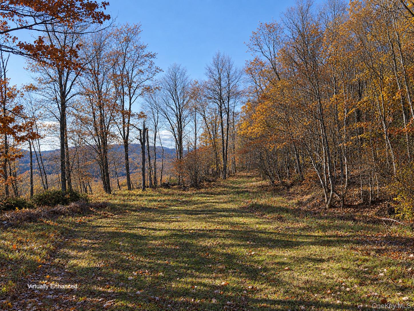 2220 Old Route 17 Property Photo 10