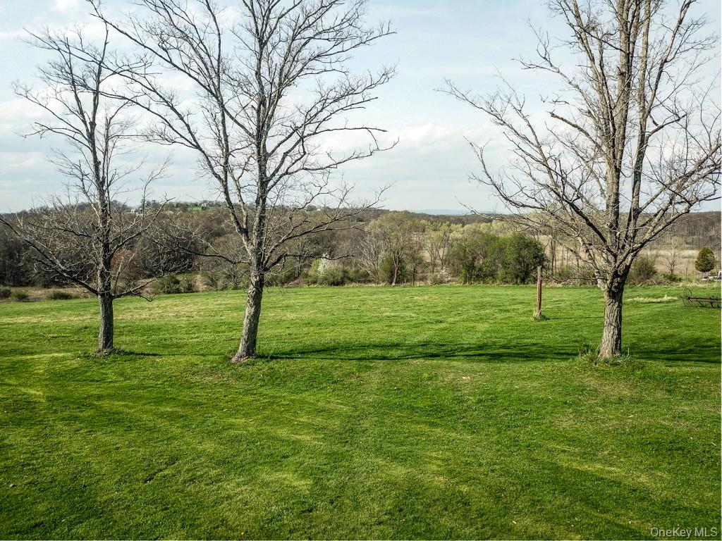 324 Sarah Wells Trail Property Photo 46