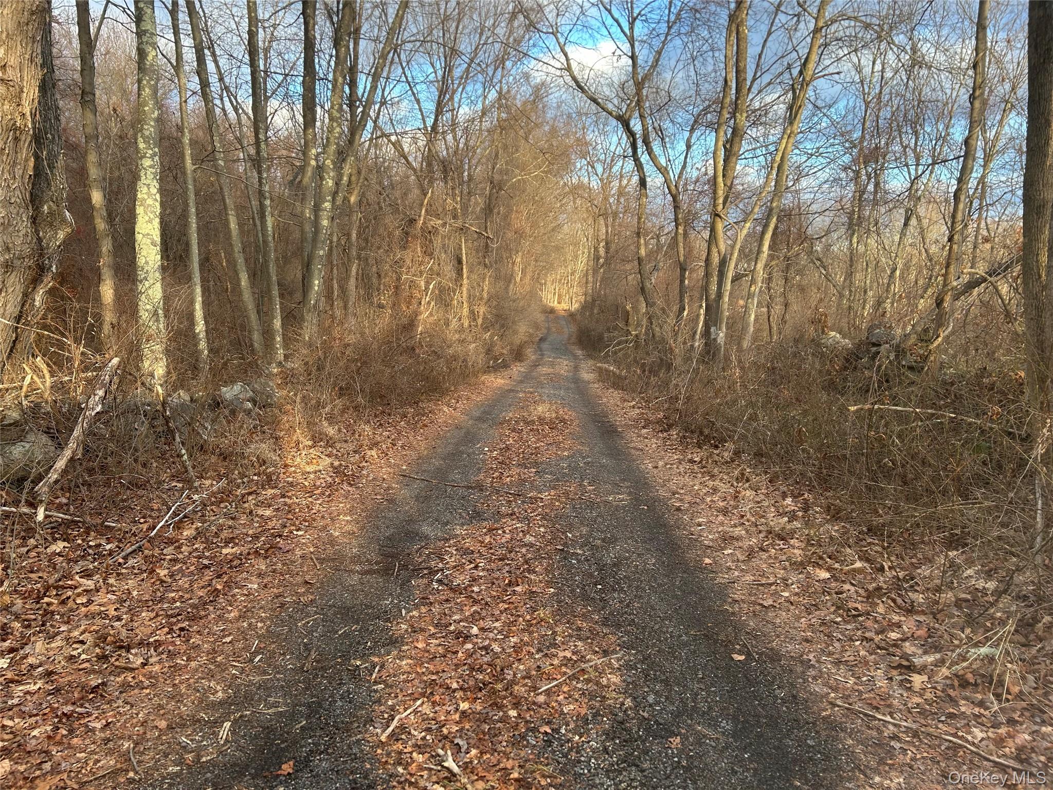100 Ten Acre Lane (barret) Property Photo 3