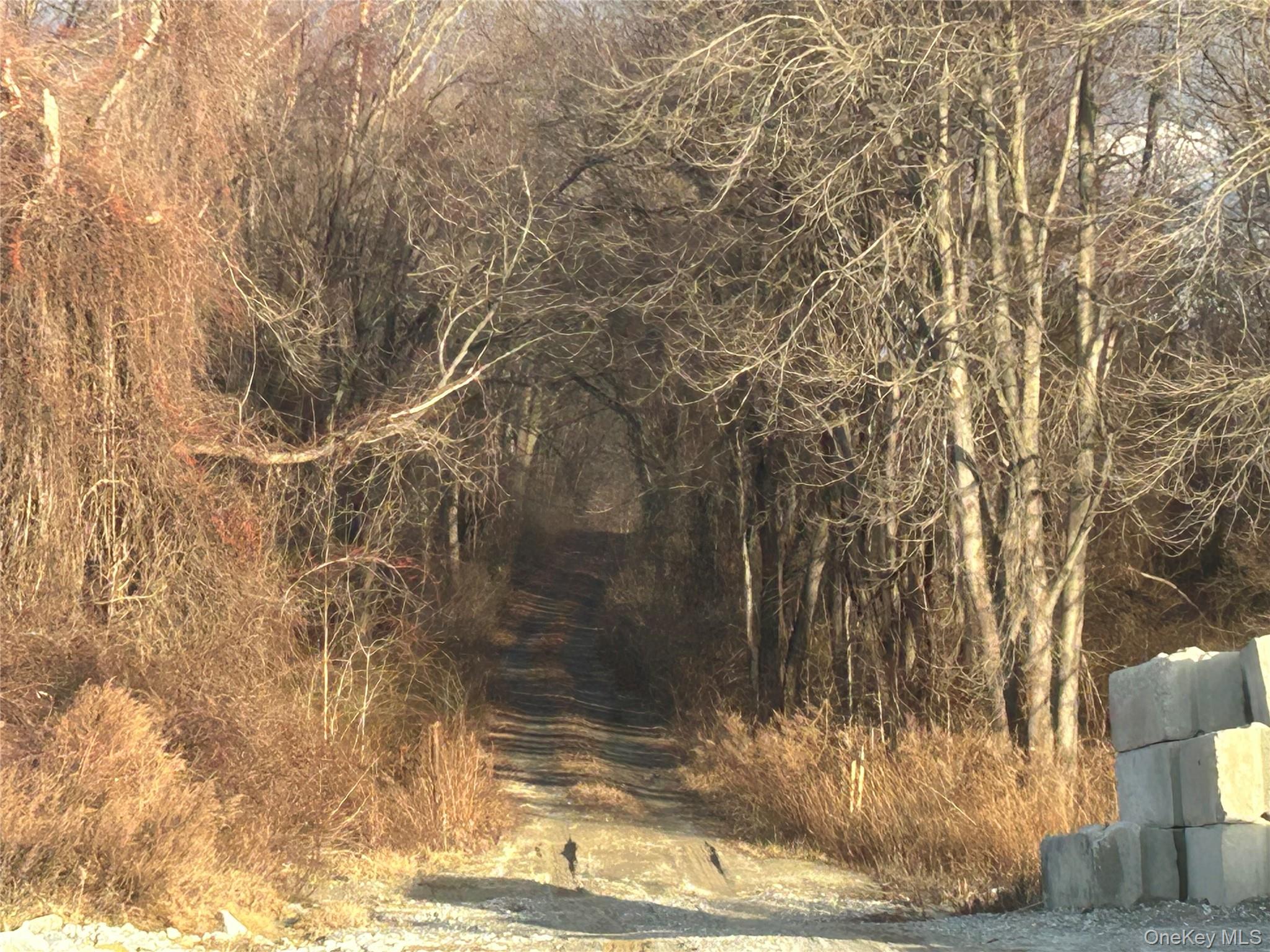 100 Ten Acre Lane (barret) Property Photo 4