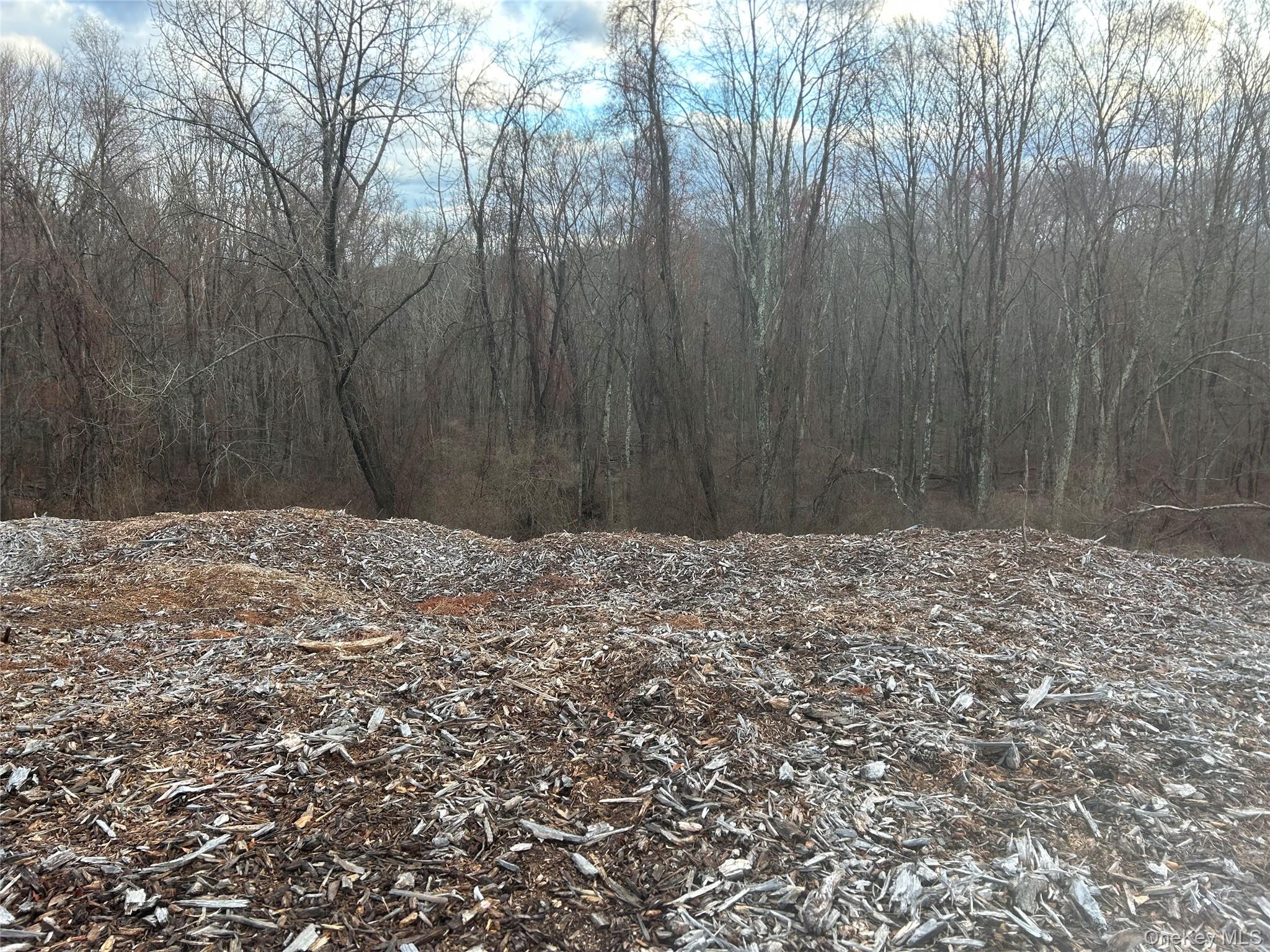 100 Ten Acre Lane (barret) Property Photo 5