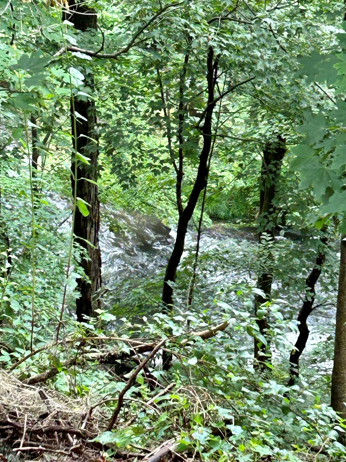 53 Main Street Property Photo 29