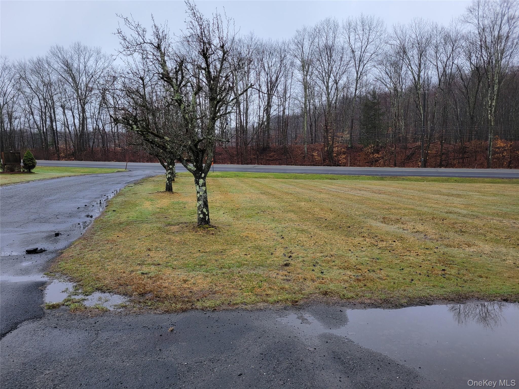 39 Bloomingburg Road Property Photo 6