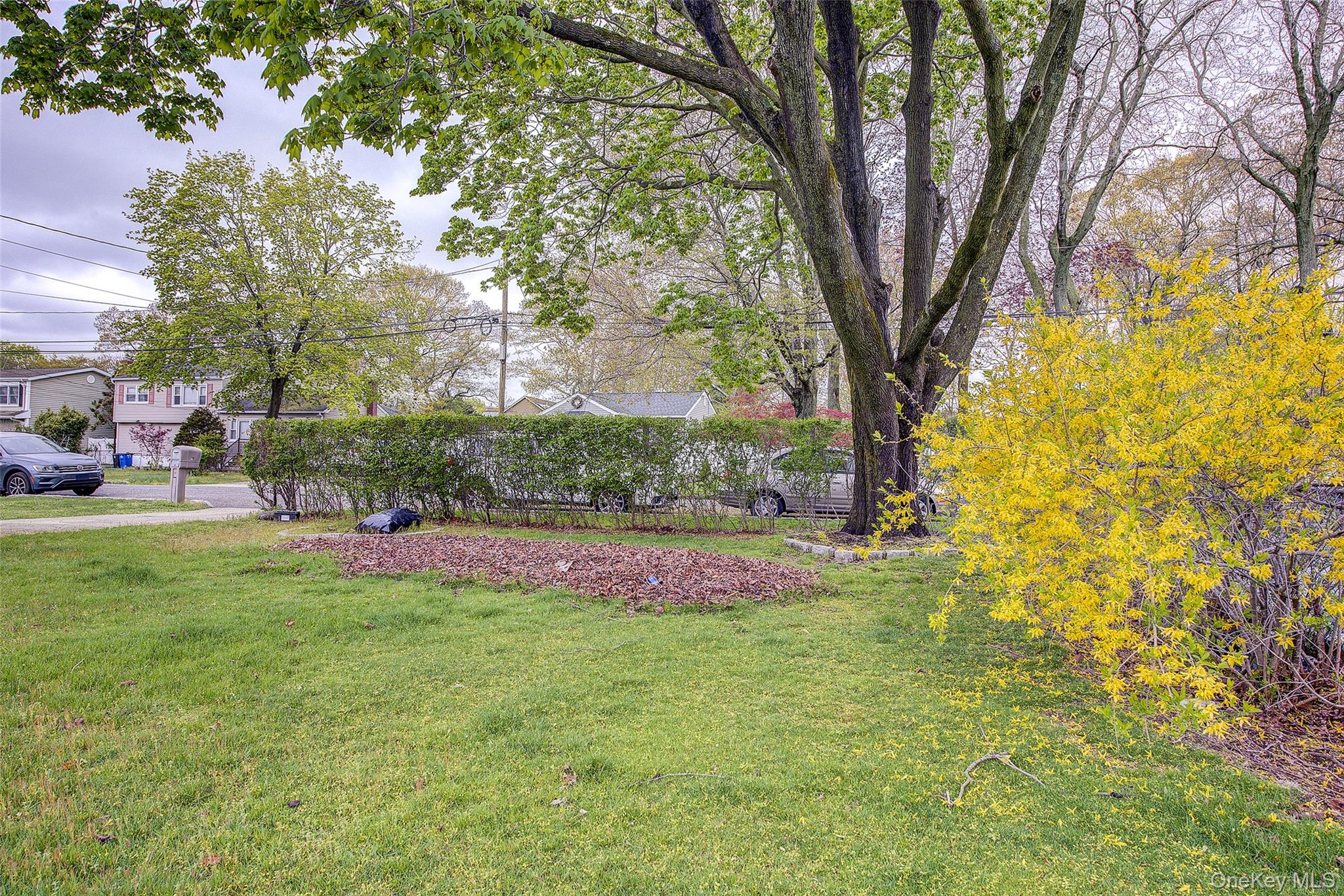 18 Blossom Avenue Property Photo 22