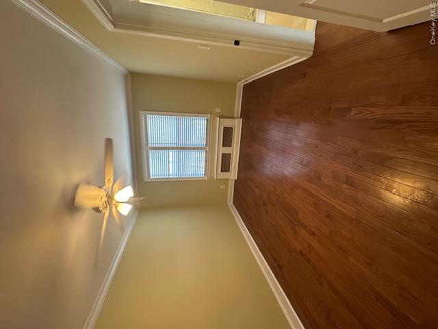 40 Winchester Avenue 2a Property Photo 18
