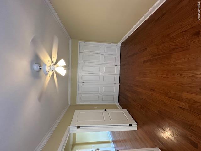 40 Winchester Avenue 2a Property Photo 20