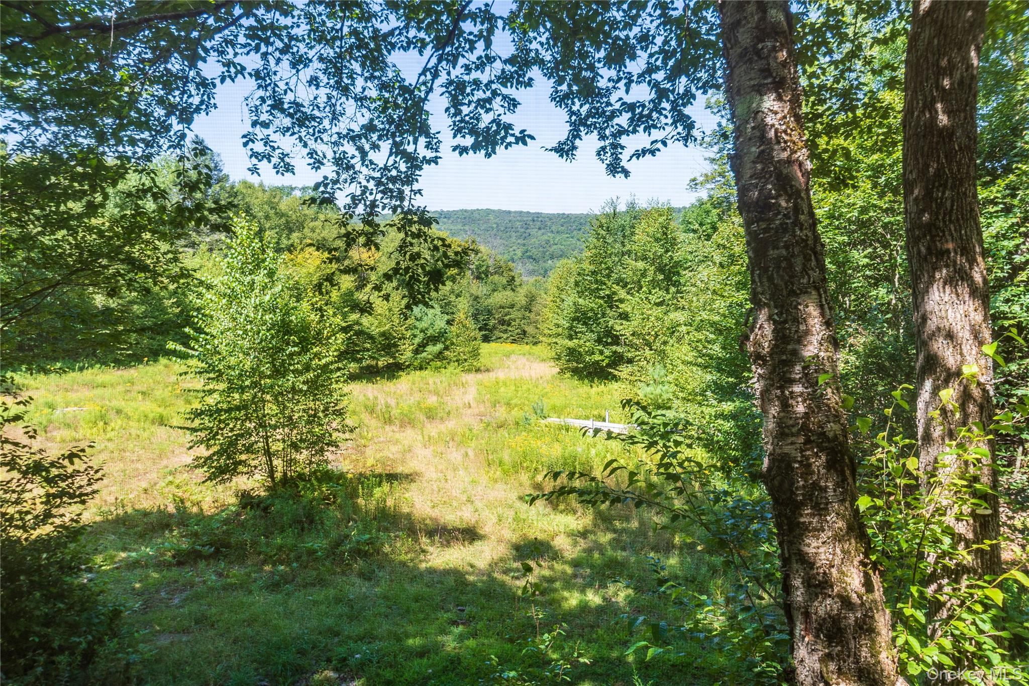 885 Grandview Road Property Photo 38