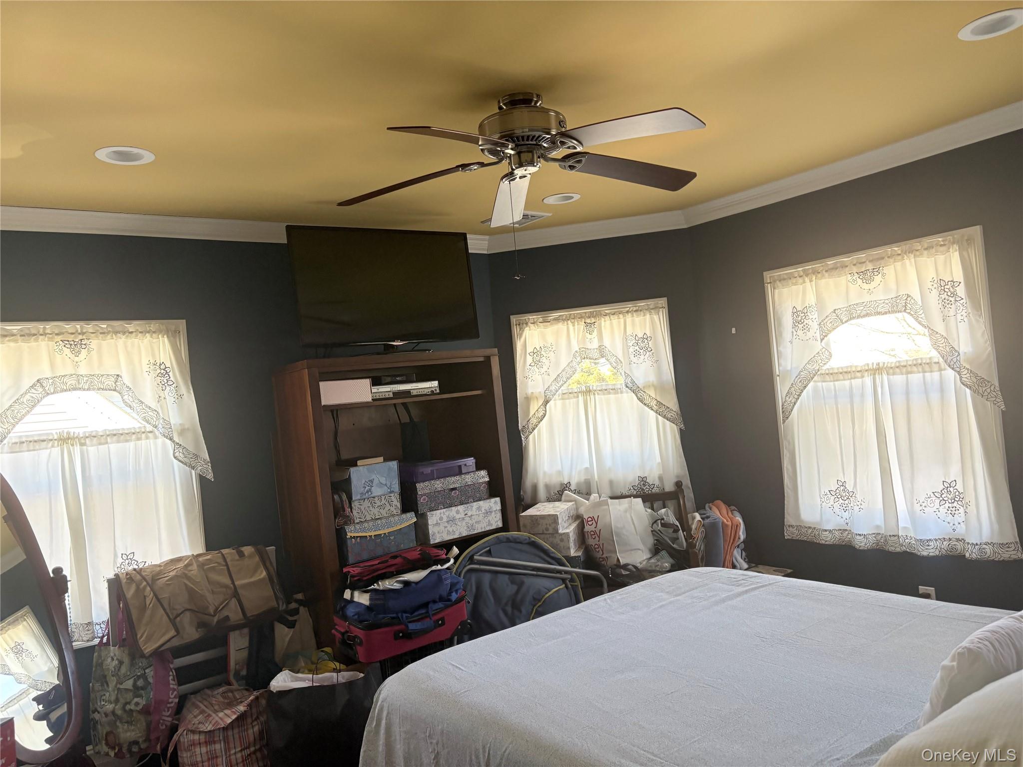 25 Rutland Road Property Photo 12