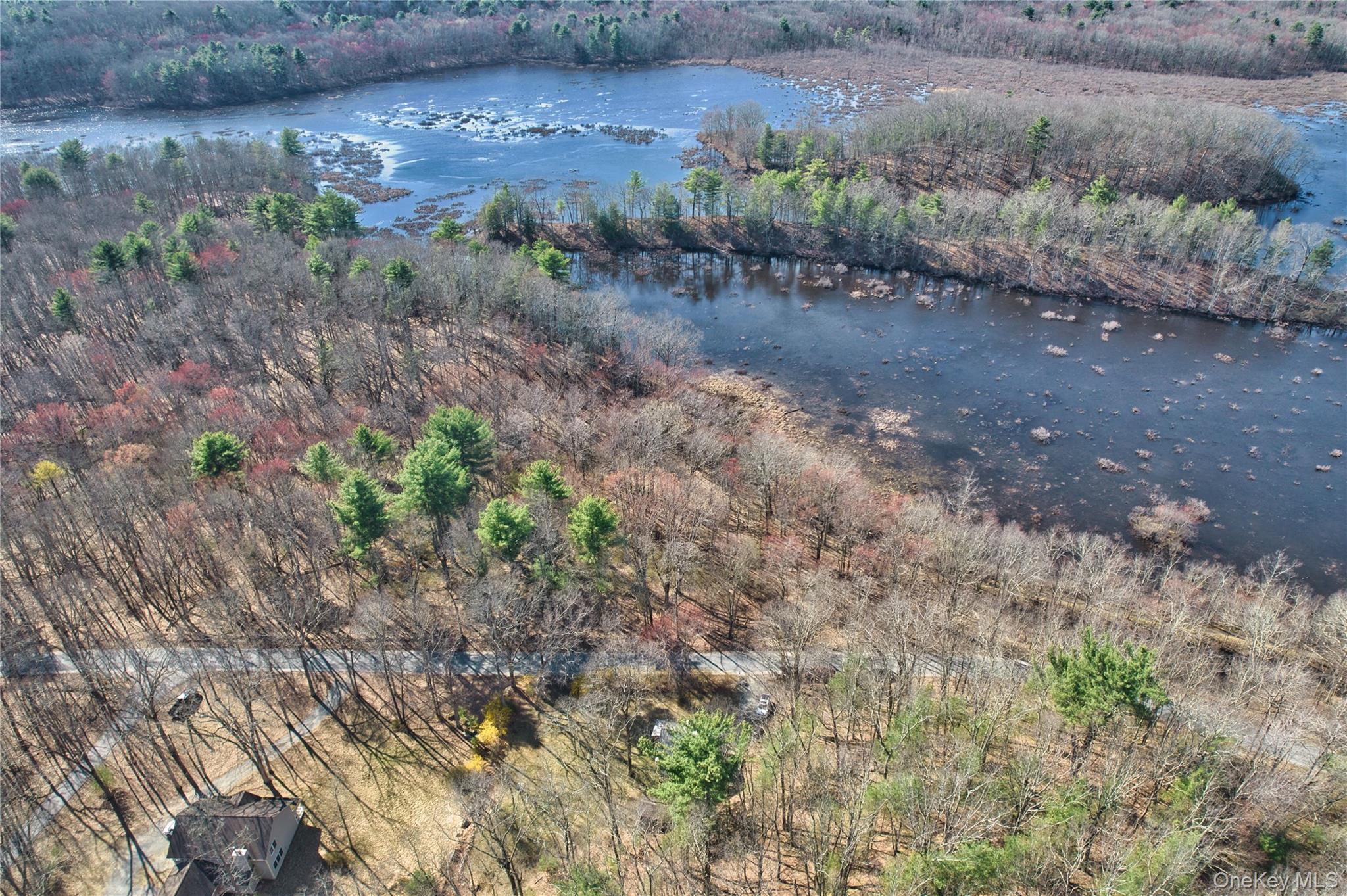 1193 South Road Property Photo 33