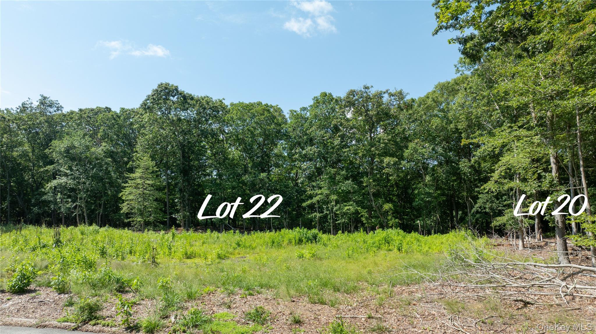22 Inlet View Path Property Photo 3