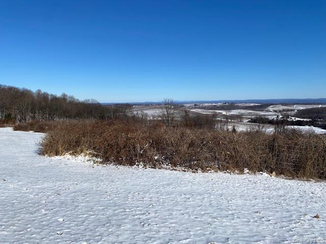 156 Mount Zion Road Property Photo 29