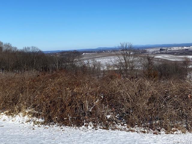 156 Mount Zion Road Property Photo 33