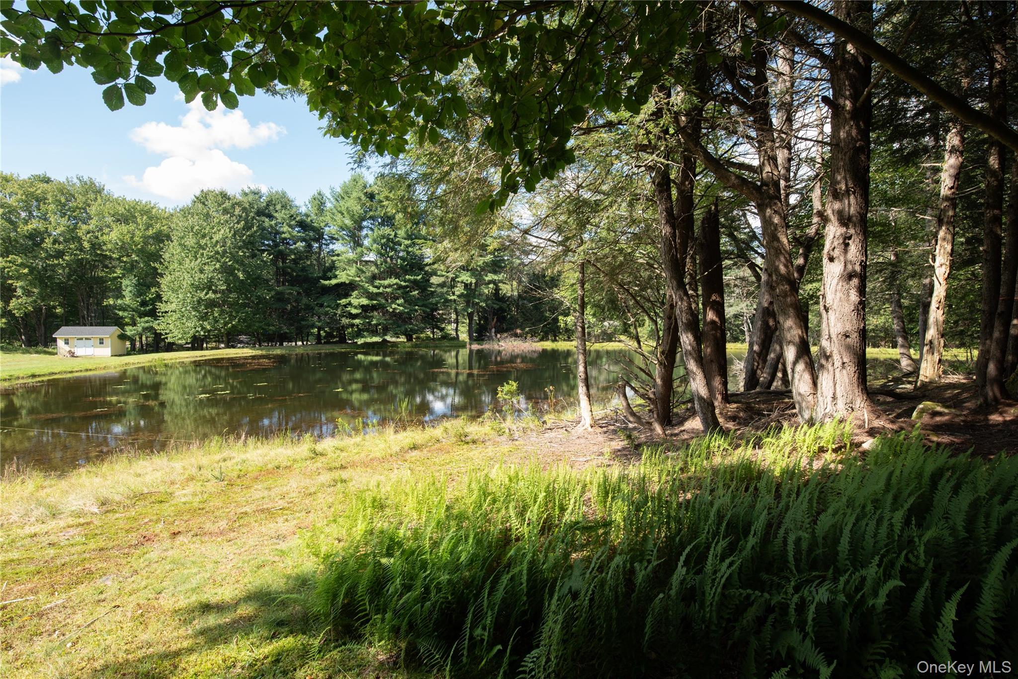 6652 State Route 42 Property Photo 44