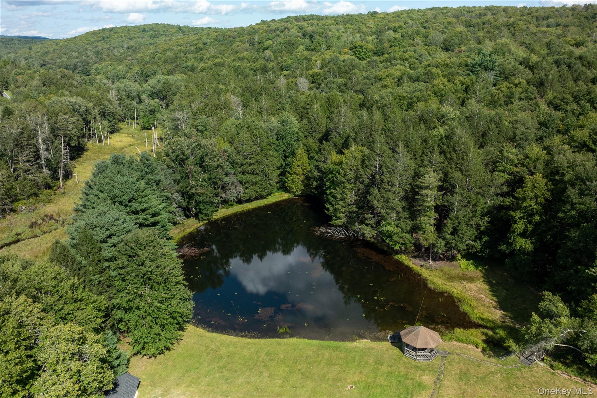 6652 State Route 42 Property Photo 47