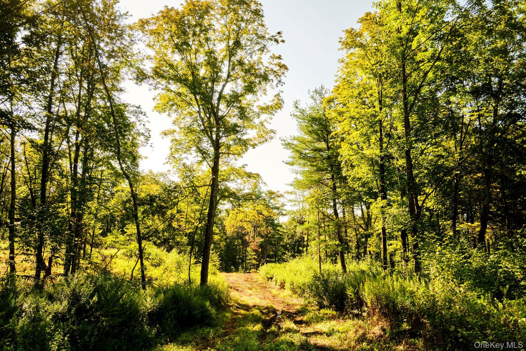 60 Stone Wall Path Property Photo 10