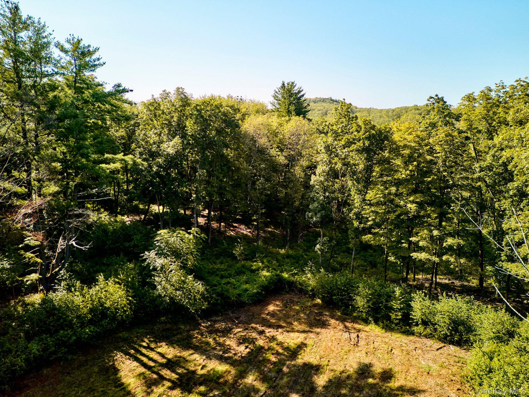 60 Stone Wall Path Property Photo 12