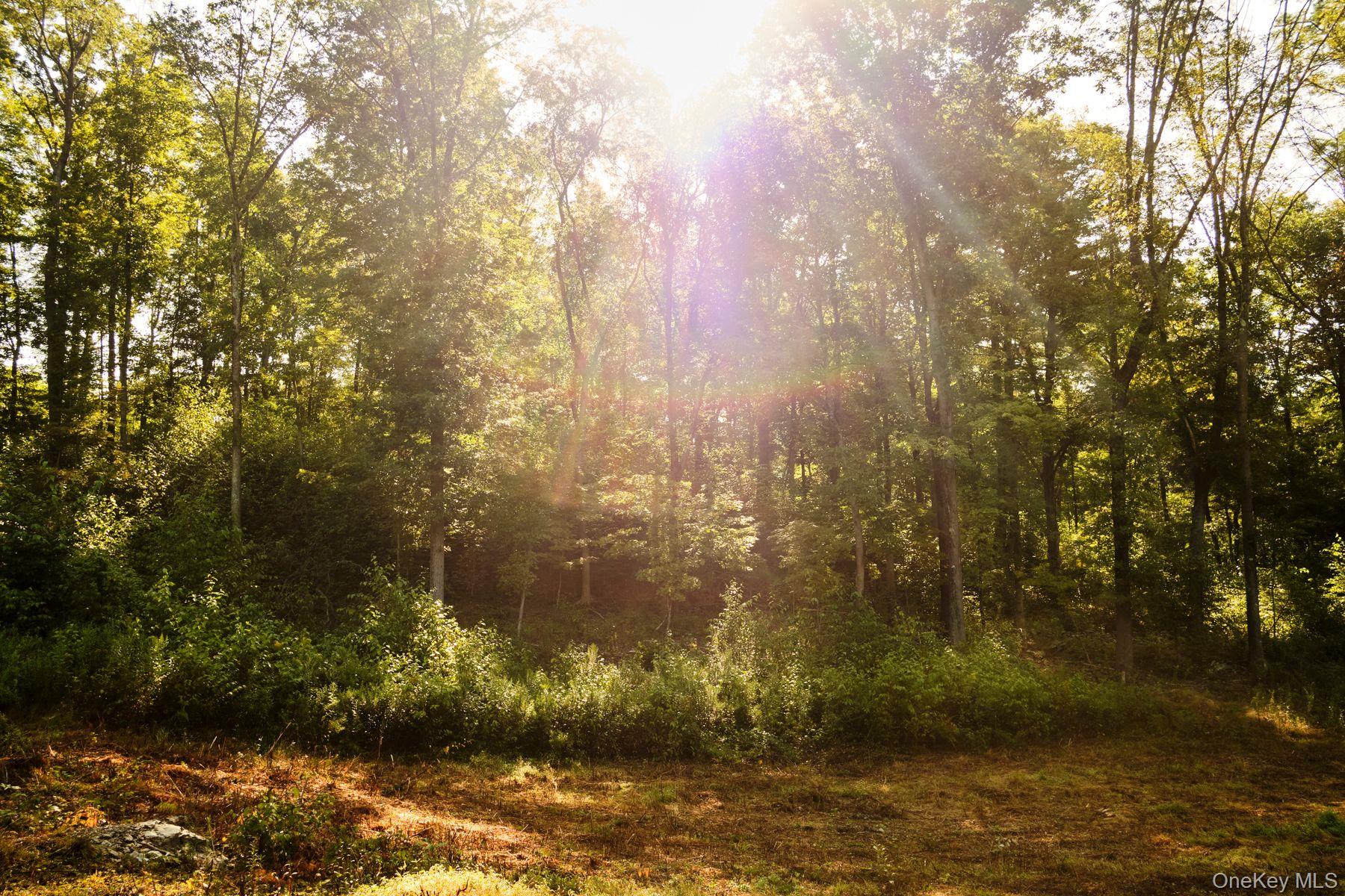 60 Stone Wall Path Property Photo 13