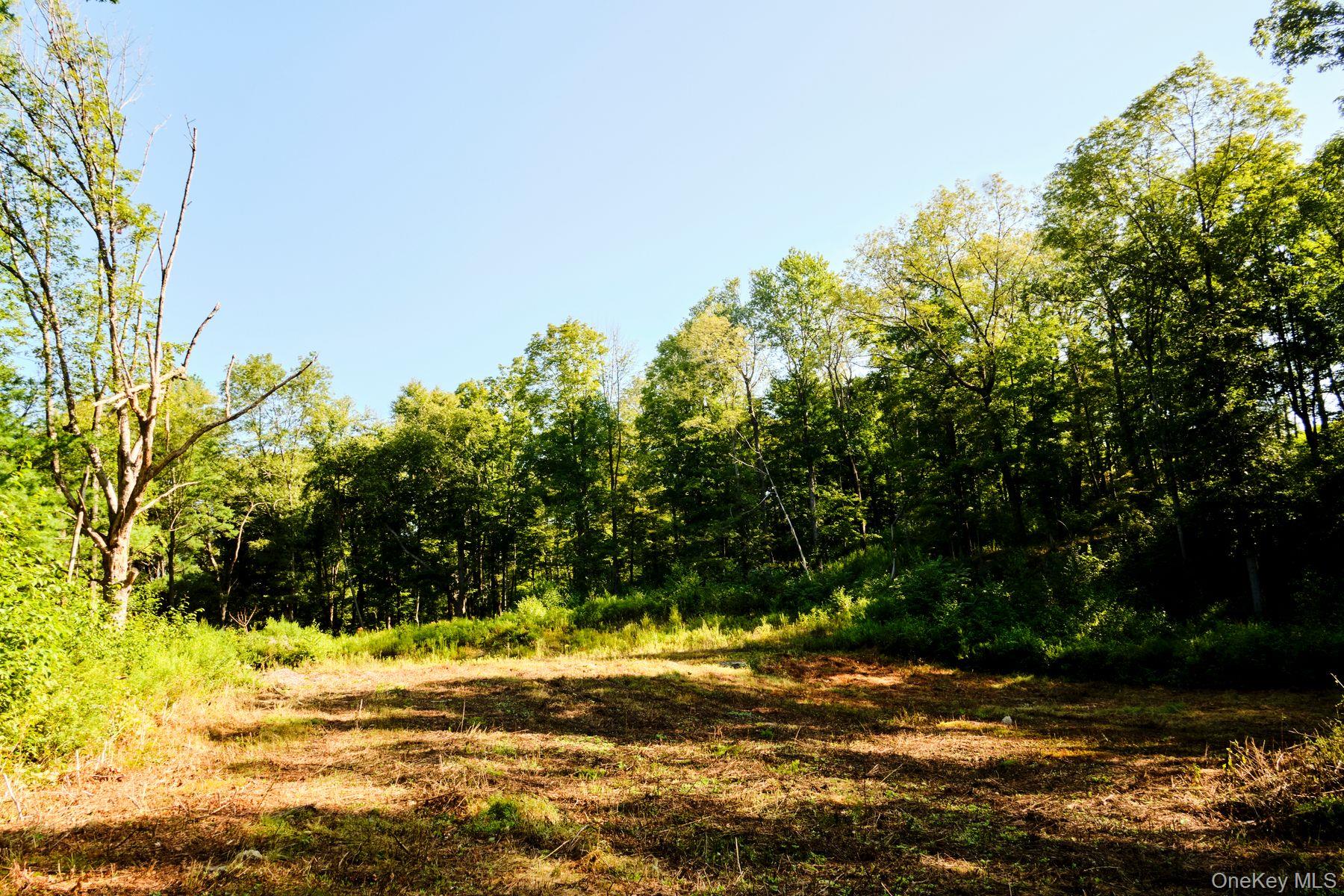 60 Stone Wall Path Property Photo 14