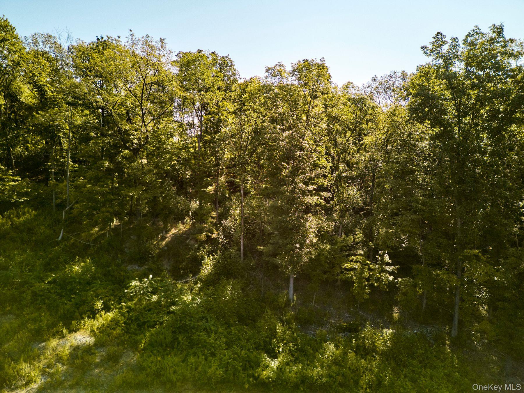 60 Stone Wall Path Property Photo 17