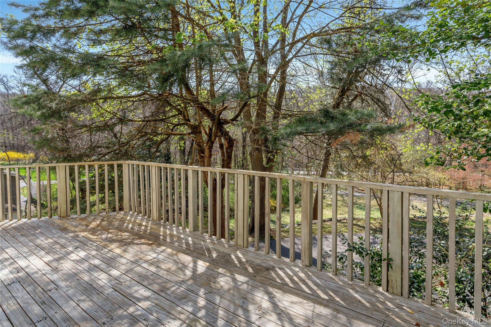 147 Stoneleigh Avenue Property Photo 4