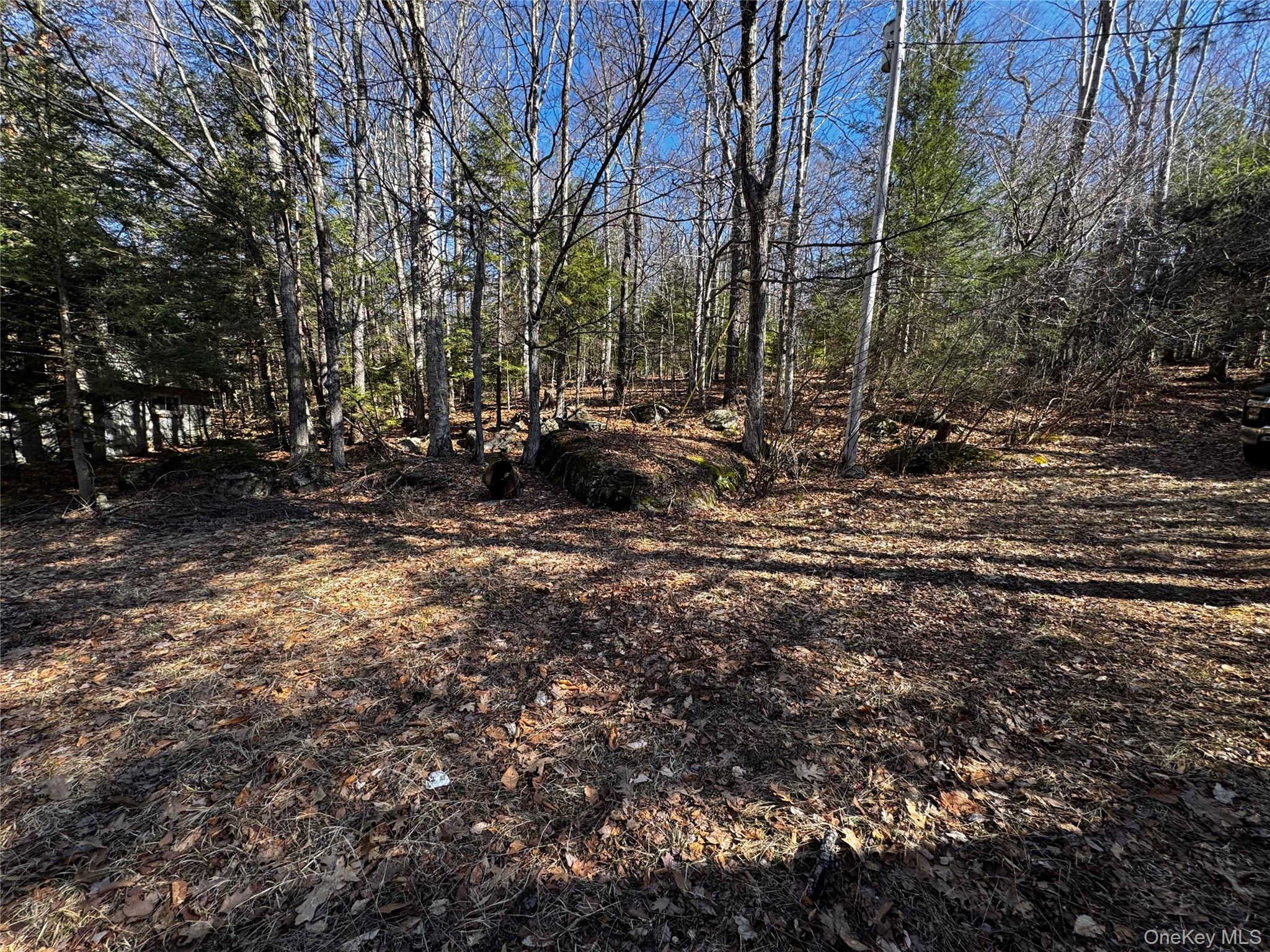 319 N Lake Road Property Photo 18