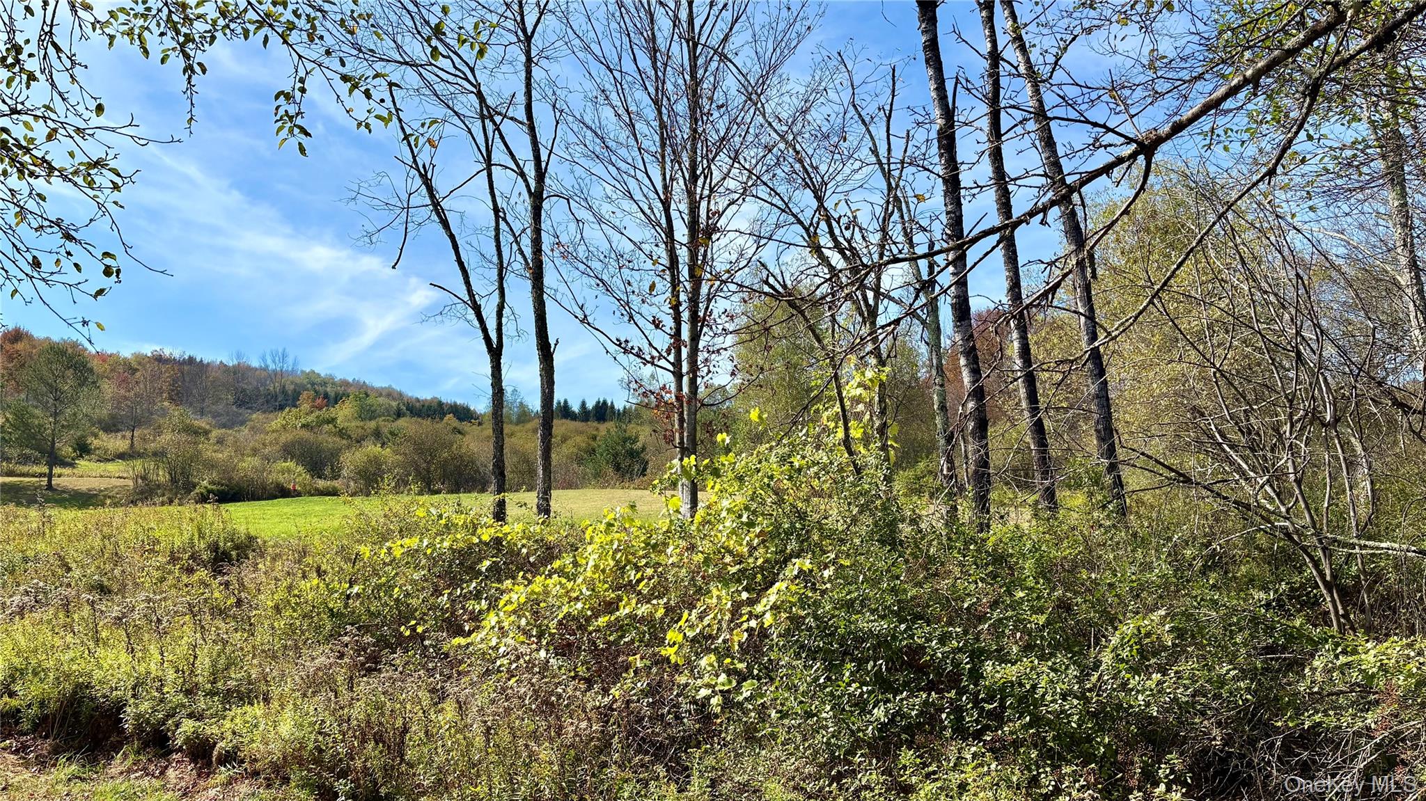 4188 State Route 52 Property Photo 7