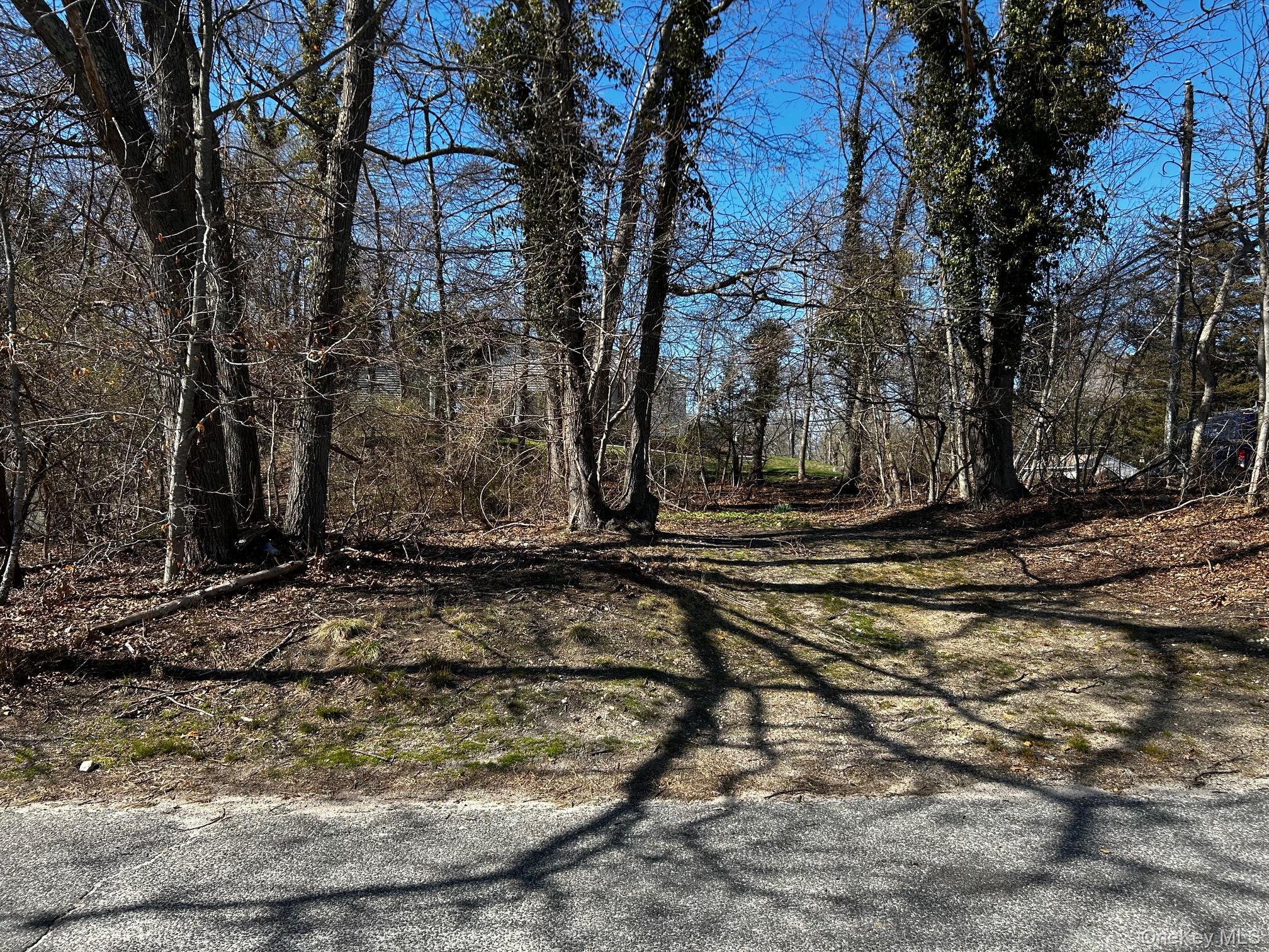 4th Property Photo 2