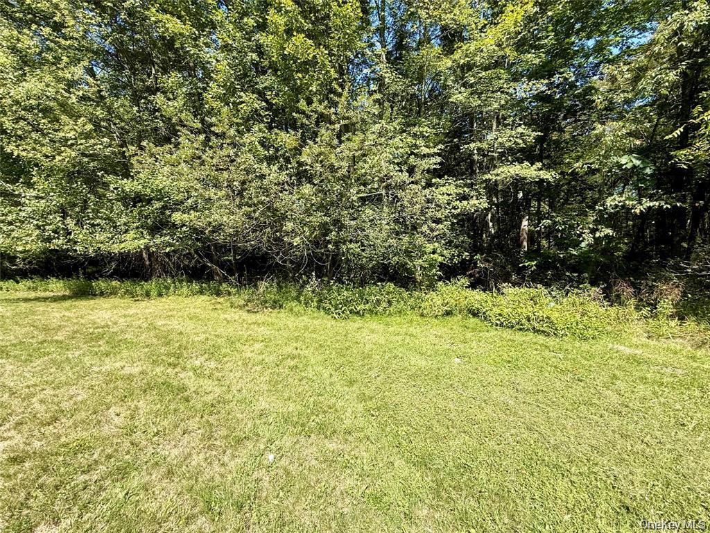 118 Old Roosa Gap Road Property Photo 15