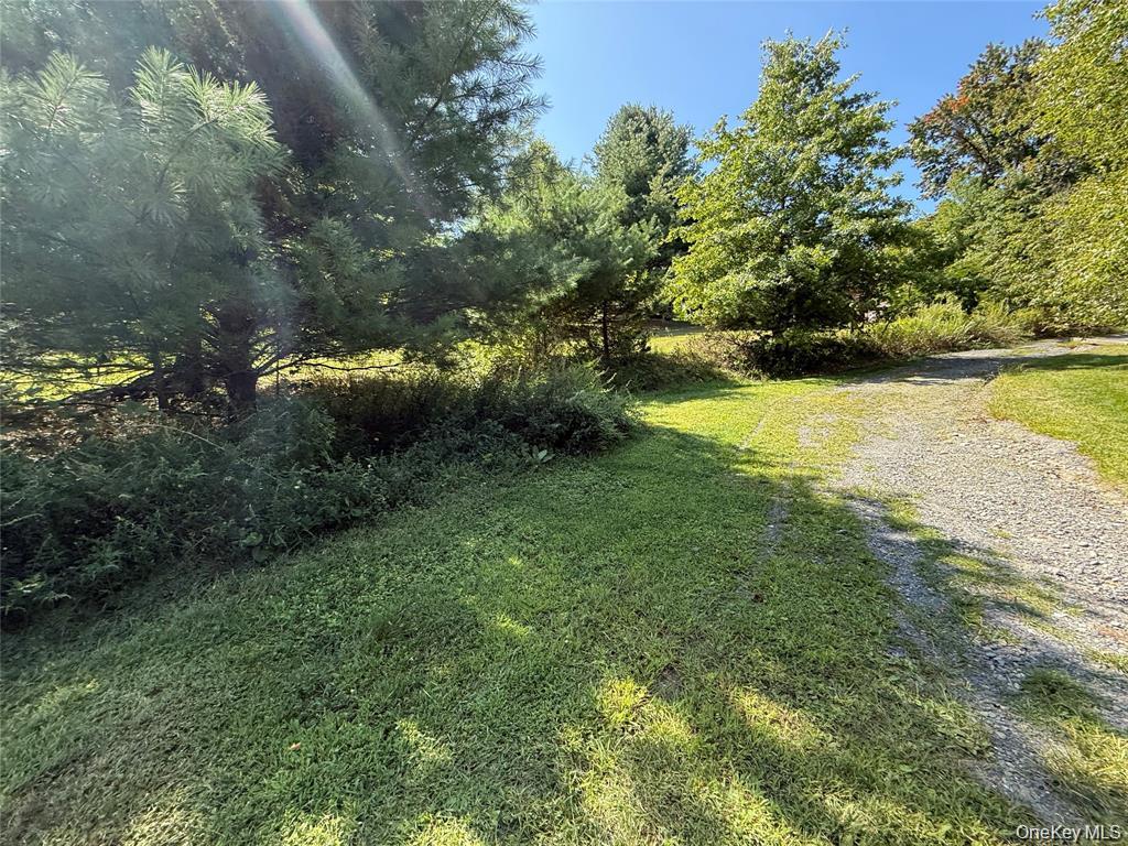 118 Old Roosa Gap Road Property Photo 19