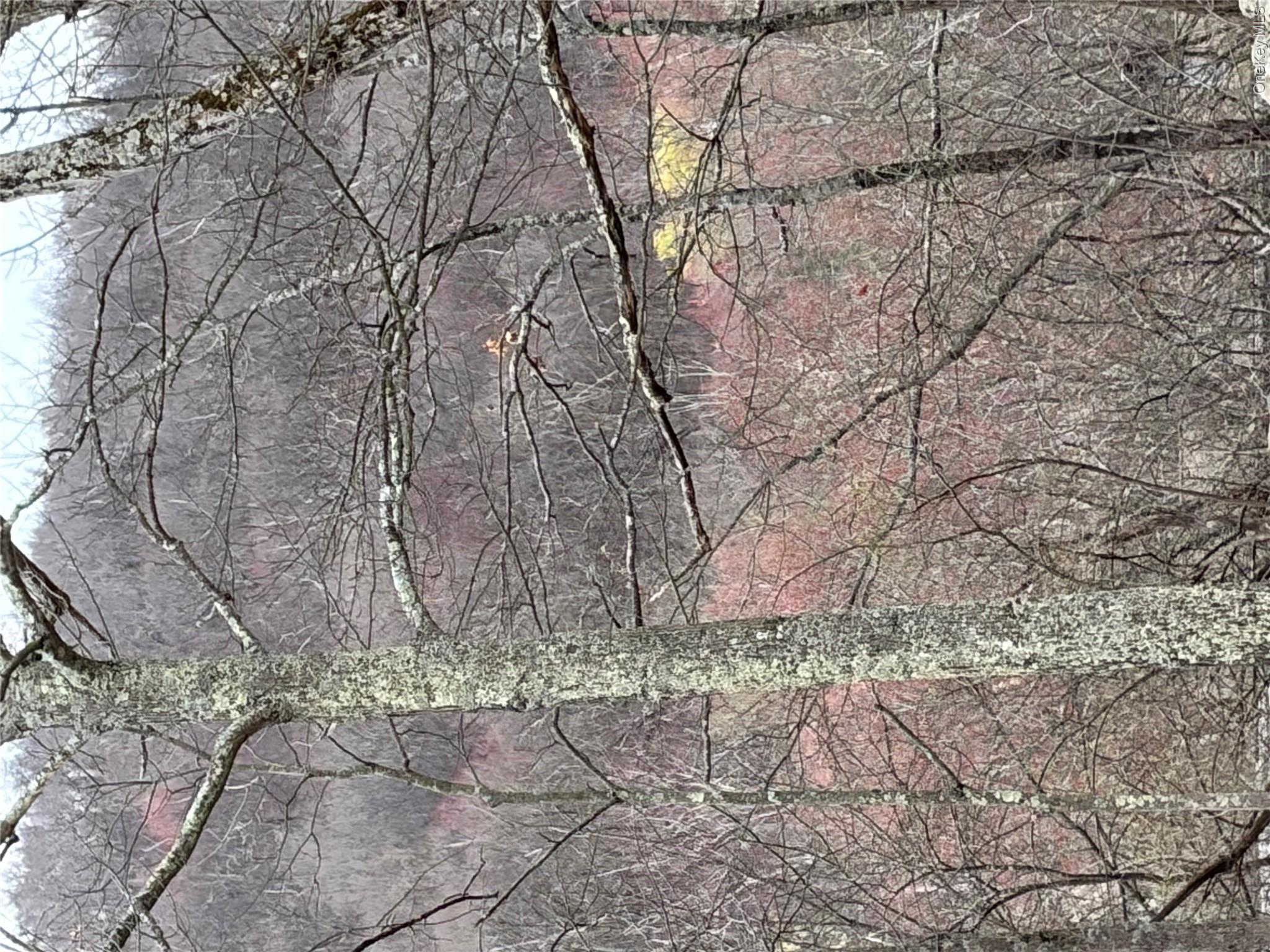 Fox Mountain Property Photo 1