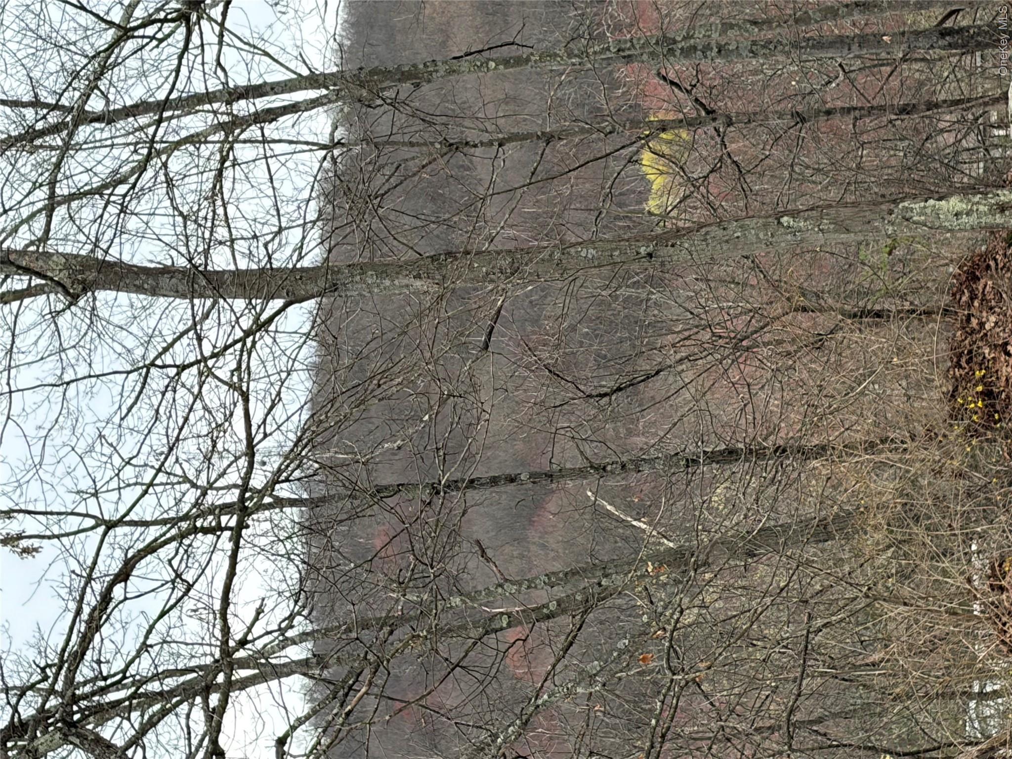 Fox Mountain Property Photo 2