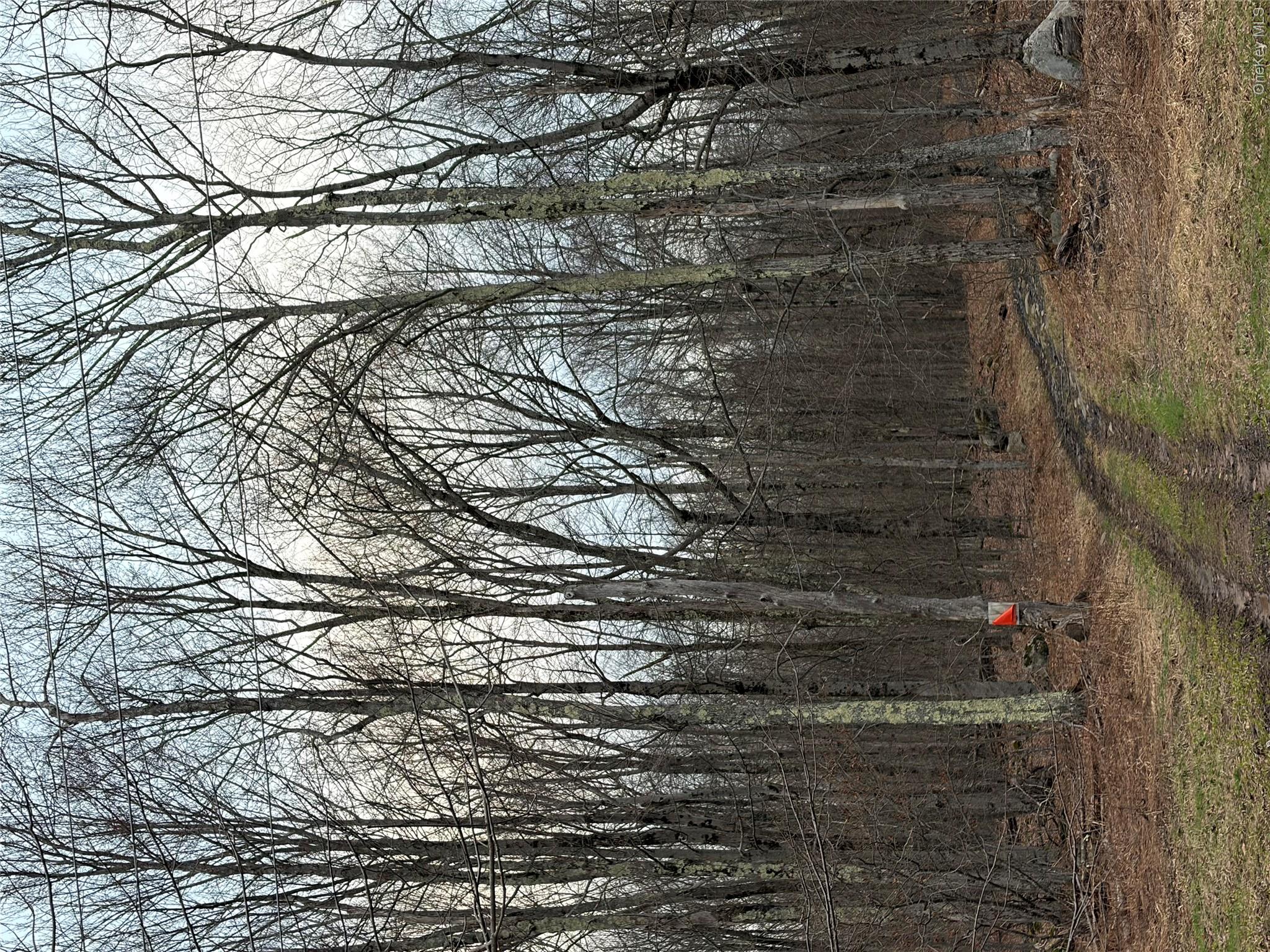Fox Mountain Property Photo 3