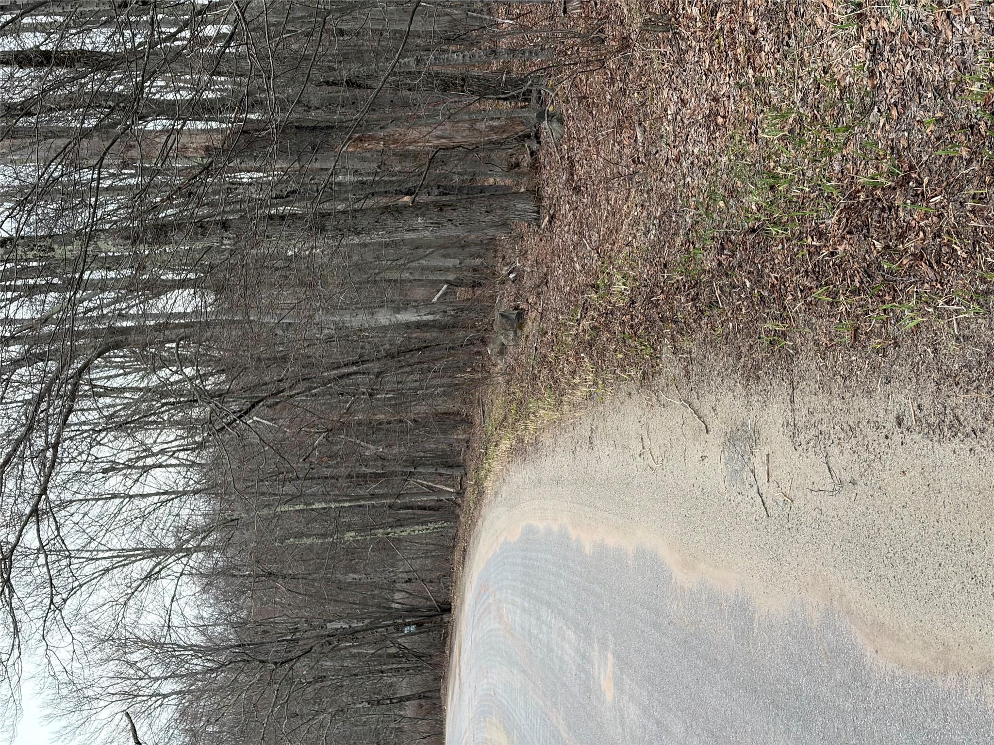 Fox Mountain Property Photo 4