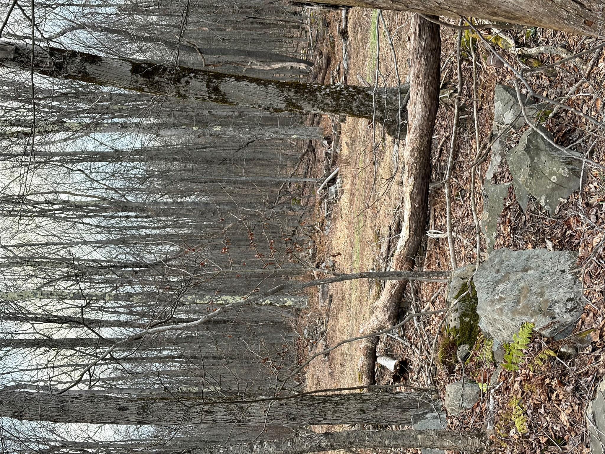 Fox Mountain Property Photo 5