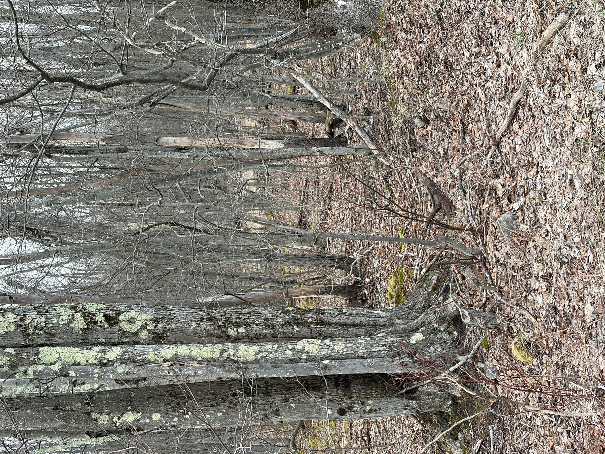 Fox Mountain Property Photo 7