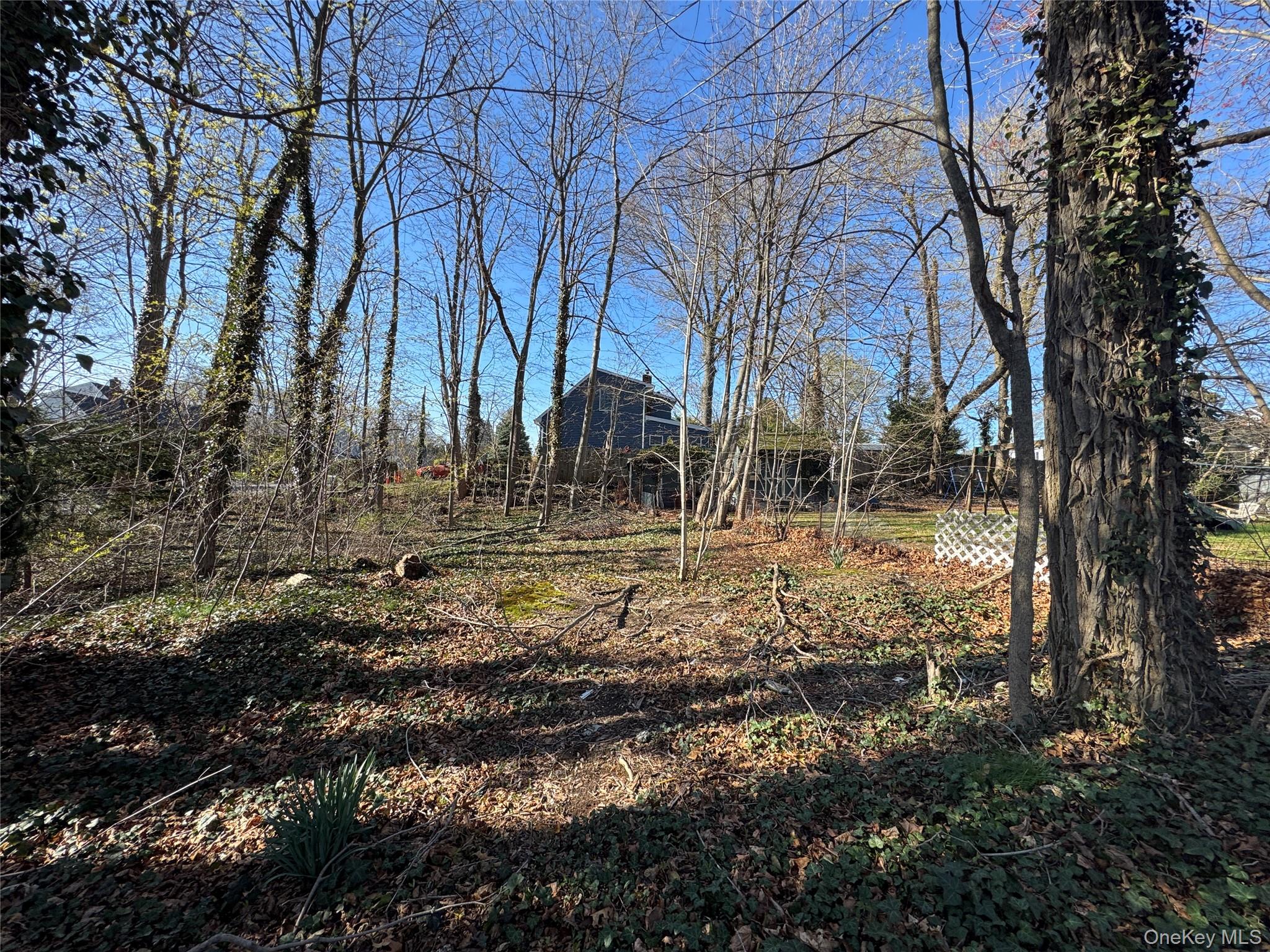 Ray Place Property Photo 3