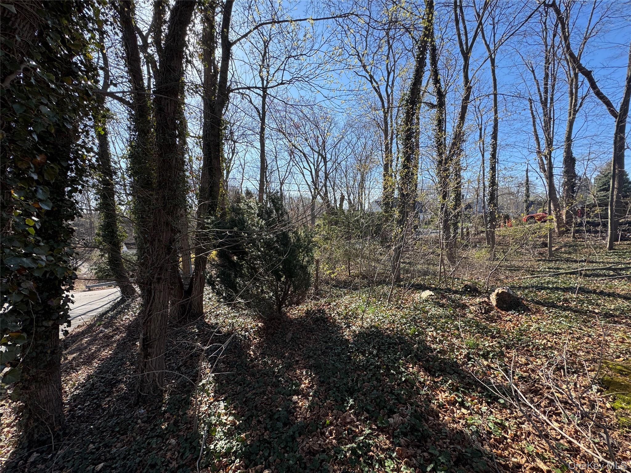 Ray Place Property Photo 5