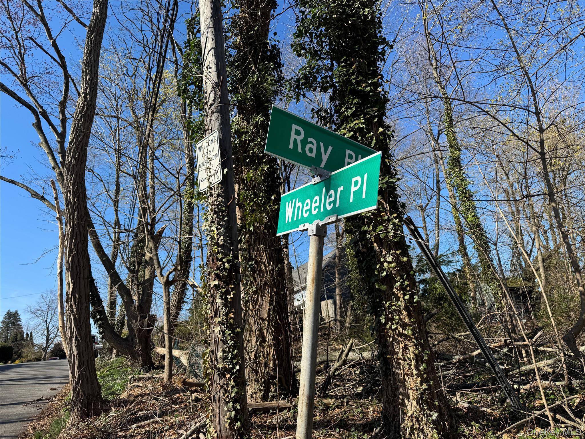 Ray Place Property Photo 6