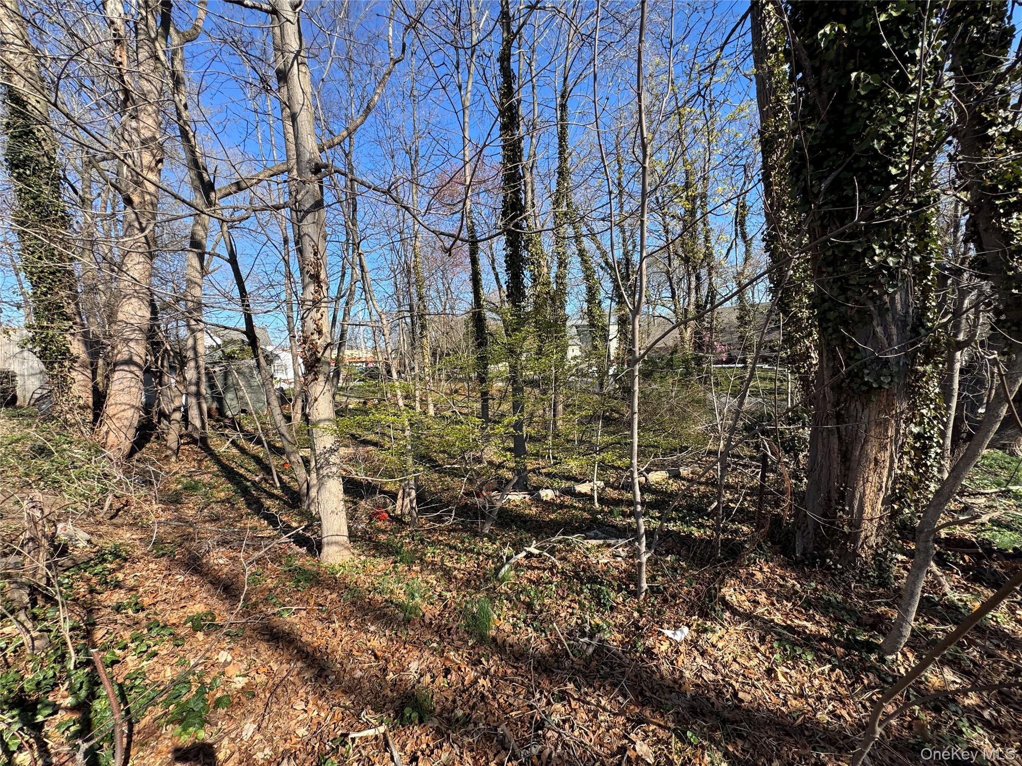 Ray Place Property Photo 7