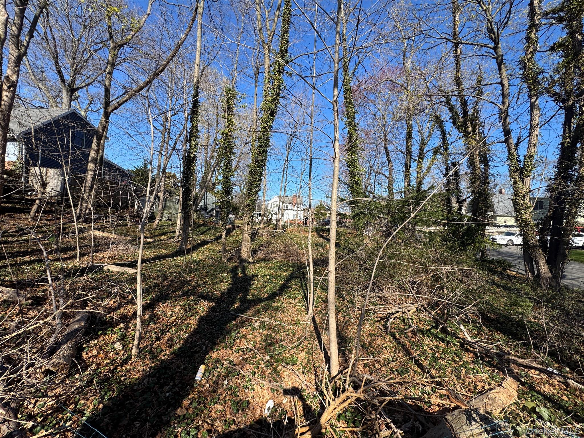 Ray Place Property Photo 8